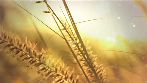 阳光总在风雨后LED舞台背景配乐成品