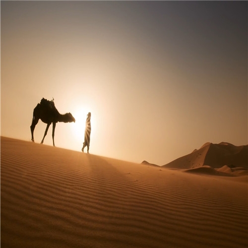 节目歌曲沙漠骆驼展展罗罗抖音成品LED舞台大屏背景视频素材A384