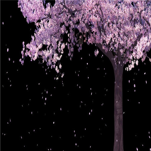 樱花树花瓣飘飞动态背景LED背景视频