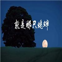 就是那一只蟋蟀 齐越节双人诗歌朗诵配乐伴奏舞台演出LED背景视频素材