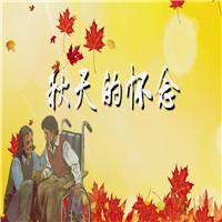 史铁生《秋天的怀念》康辉散文诗歌朗诵配乐伴奏舞台演出LED背景视频素材