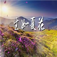 生如夏花 诗歌朗诵配乐伴奏舞台演出LED背景视频素材