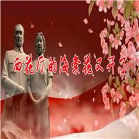 西花厅的海棠花又开了（节选） 周恩来总理和夫人邓颖超的故事 现代散文 诗歌朗诵配乐伴奏舞台演出LED背景视频素材