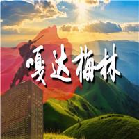 嘎达梅林 蒙古族传奇英雄 双人诗歌朗诵配乐伴奏舞台演出LED背景视频素材