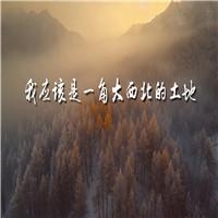 我应该是一角大西北的土地 齐越节诗歌朗诵配乐伴奏舞台演出LED背景视频素材