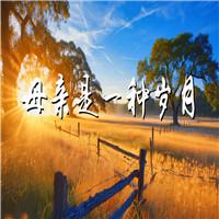 母亲是一种岁月 亲情 母亲节 母爱 诗歌朗诵配乐伴奏舞台演出LED背景视频素材