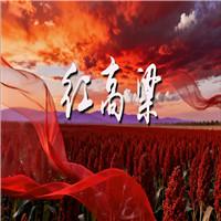 红高粱 诗歌朗诵配乐伴奏舞台演出LED背景视频素材