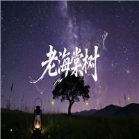 老海棠树 史铁生散文齐越节双人诗歌朗诵配乐伴奏舞台演出LED背景视频素材