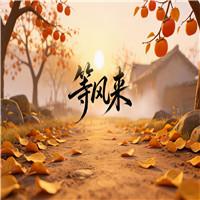 等风来 传承红色精神少儿诗歌朗诵配乐伴奏舞台演出LED背景视频素材